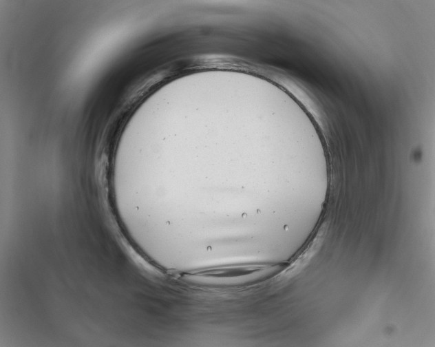 X0000116891438201001191756