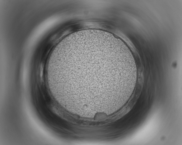 X0000116891439201001191756