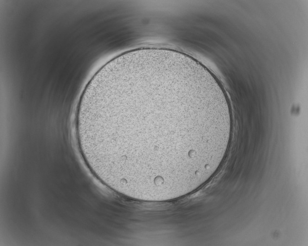 X0000116891440201001191756