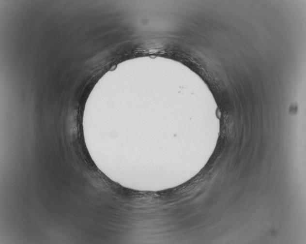 X0000116891442201001191755