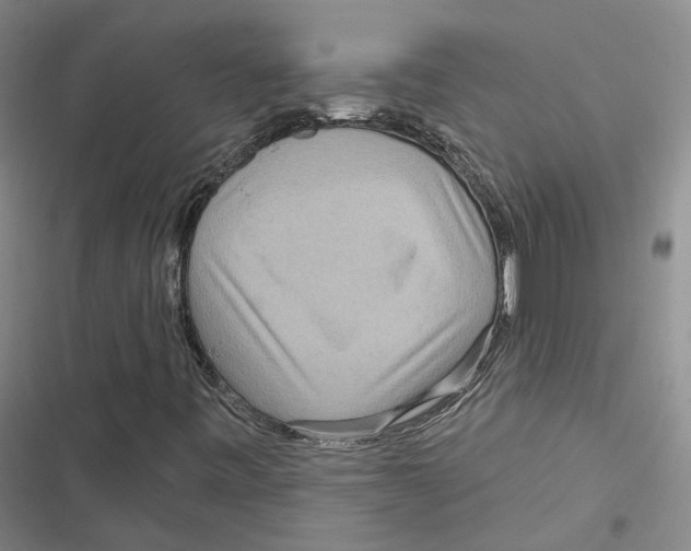 X0000116891443201001191755