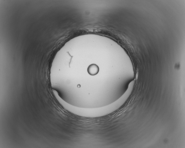 X0000116891444201001191755