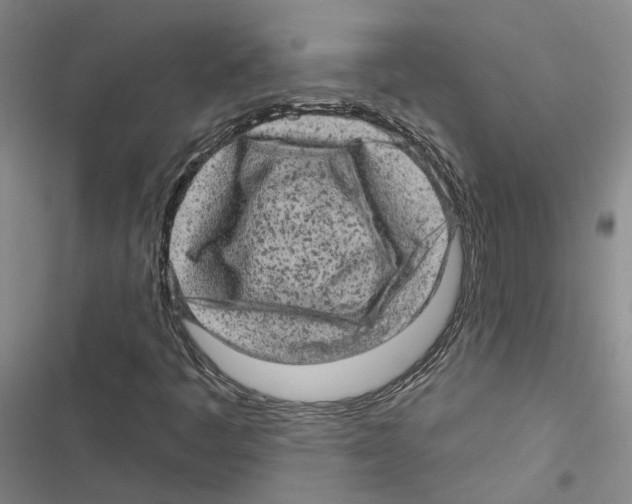 X0000116891445201001191755