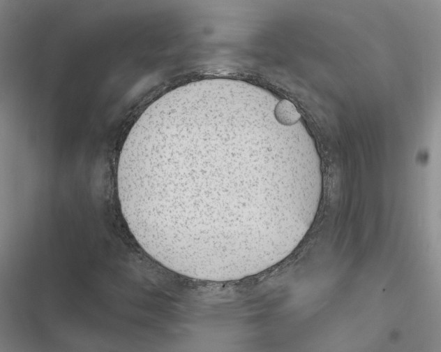 X0000116891446201001191755