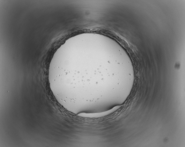 X0000116891447201001191755