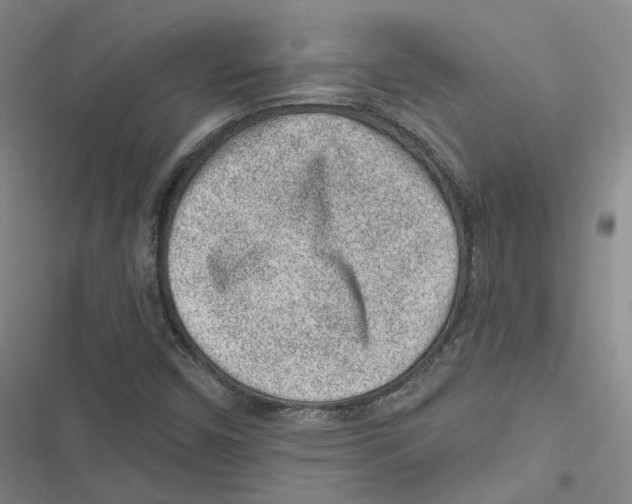 X0000116891450201001191755