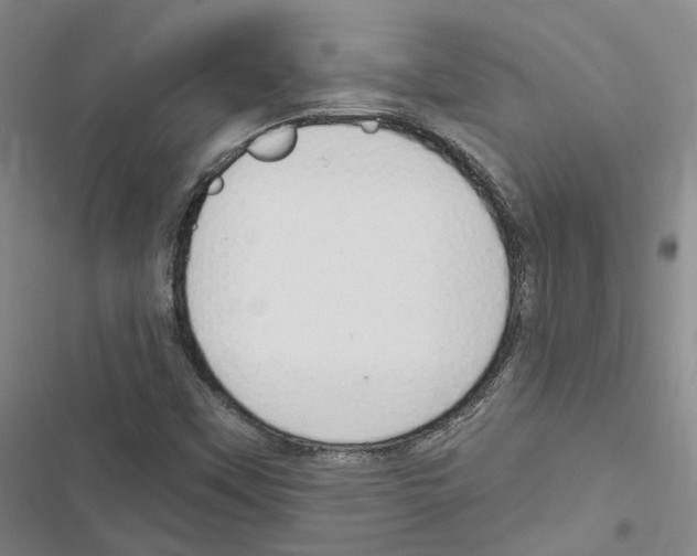 X0000116891451201001191755