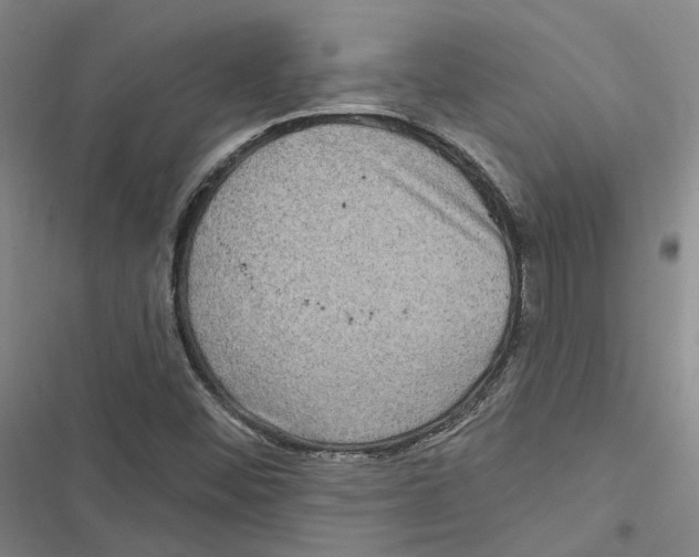 X0000116891452201001191755