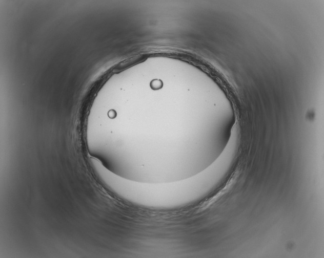 X0000116891453201001191755