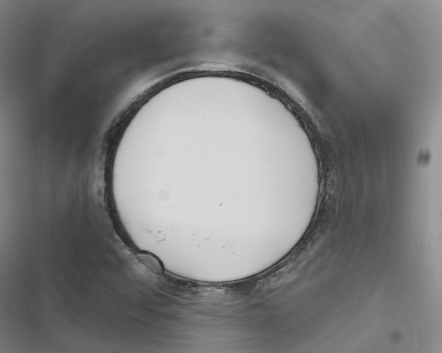 X0000116891456201001191755