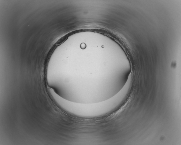 X0000116891457201001191755