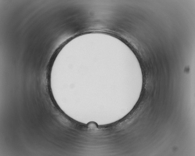 X0000116891458201001191755