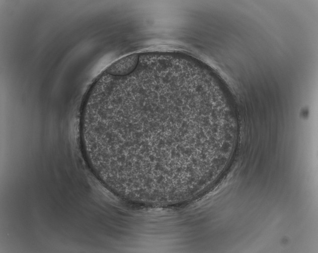 X0000116891459201001191755