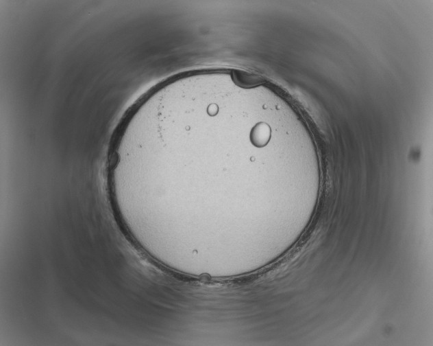 X0000116891460201001191755