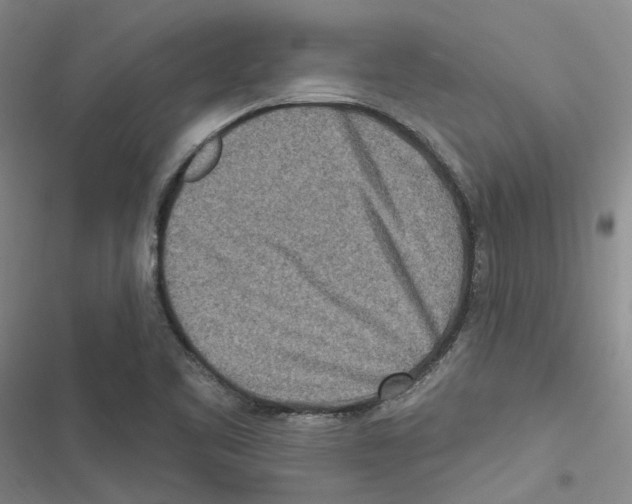 X0000116891461201001191755