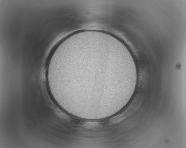 X0000116891462201001191755