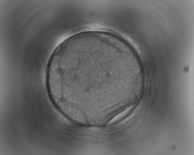 X0000116891463201001191755