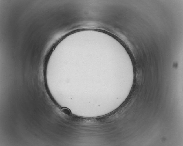 X0000116891464201001191755