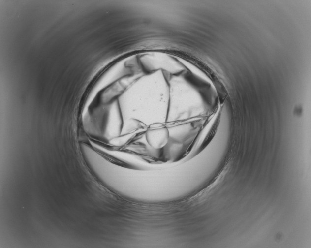 X0000116891465201001191755