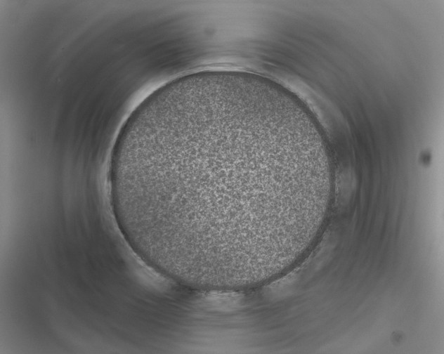 X0000116891466201001191755