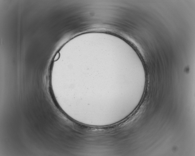 X0000116891467201001191755