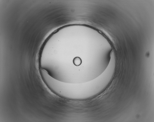 X0000116891468201001191755