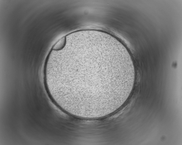 X0000116891471201001191755