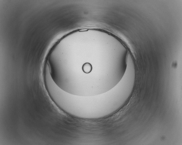 X0000116891472201001191755