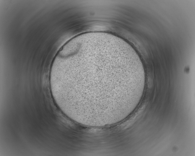 X0000116891473201001191755