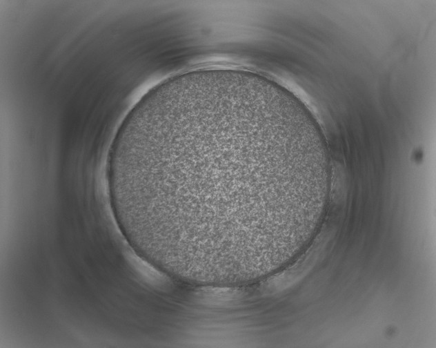 X0000116891474201001191755