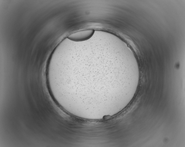 X0000116891475201001191755