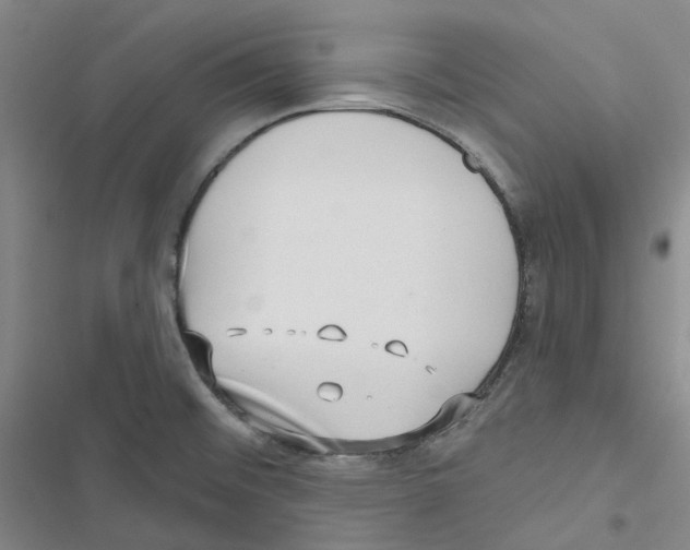 X0000116891476201001191755