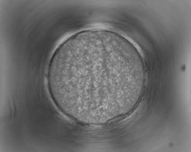 X0000116891477201001191755