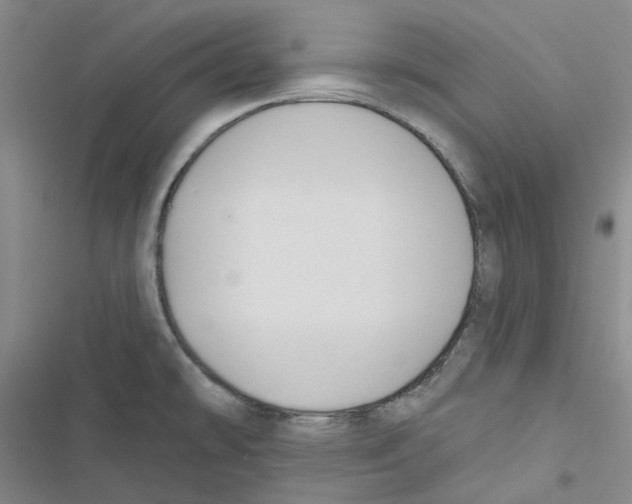 X0000116891478201001191755