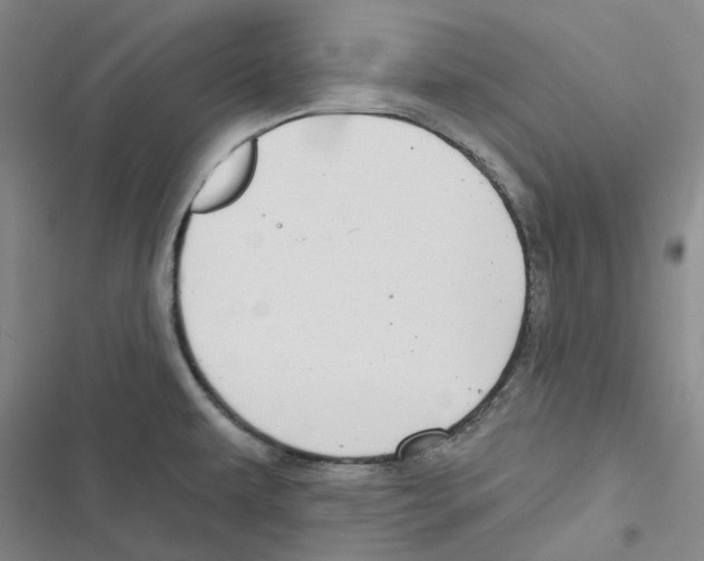 X0000116891479201001191755