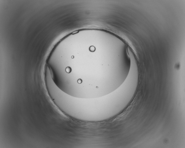 X0000116891480201001191755