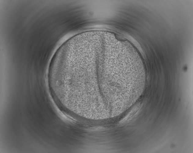 X0000116891482201001191755