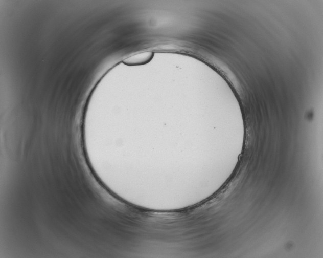 X0000116891483201001191755