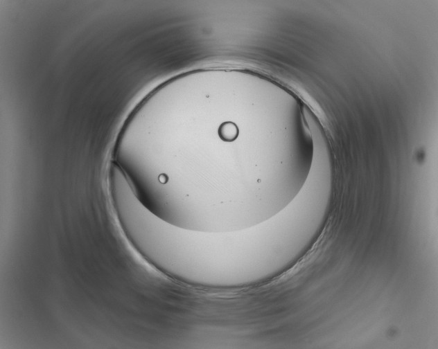 X0000116891484201001191755