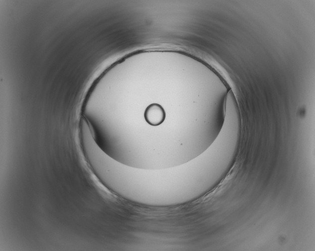 X0000116891485201001191755