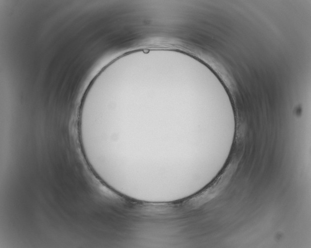 X0000116891486201001191755