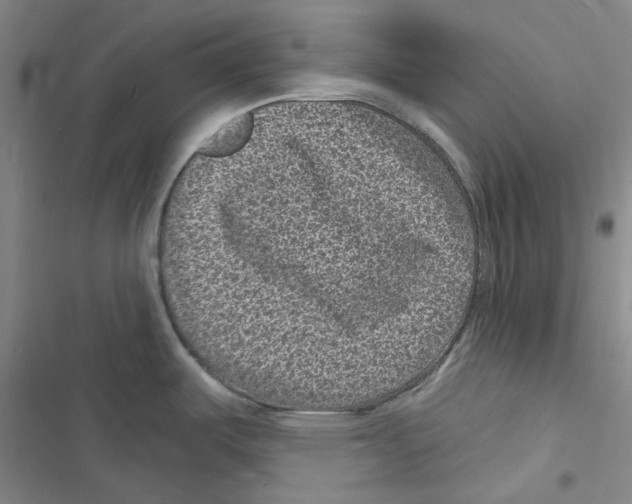 X0000116891487201001191755