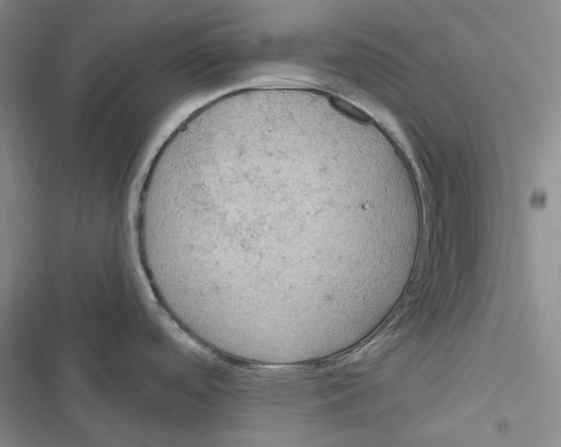 X0000116891488201001191755