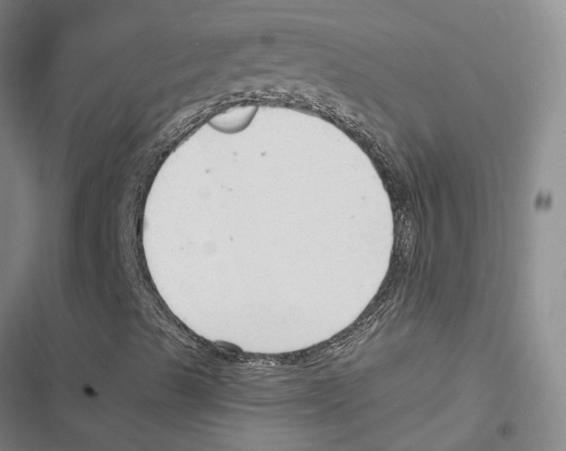 X0000116891489201001191754