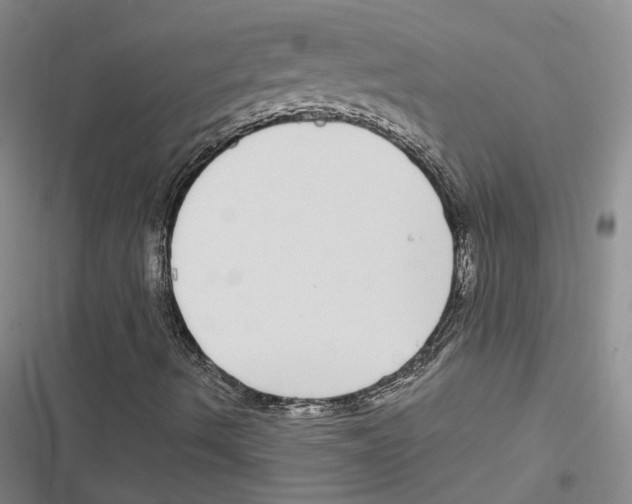 X0000116891490201001191754