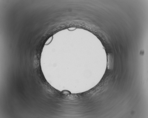 X0000116891491201001191754