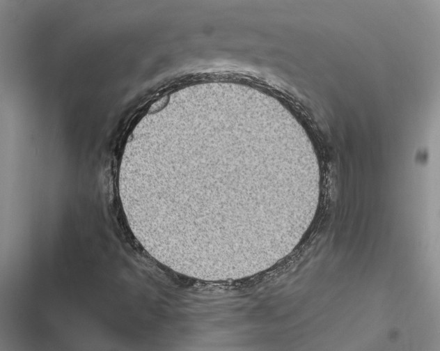 X0000116891493201001191754