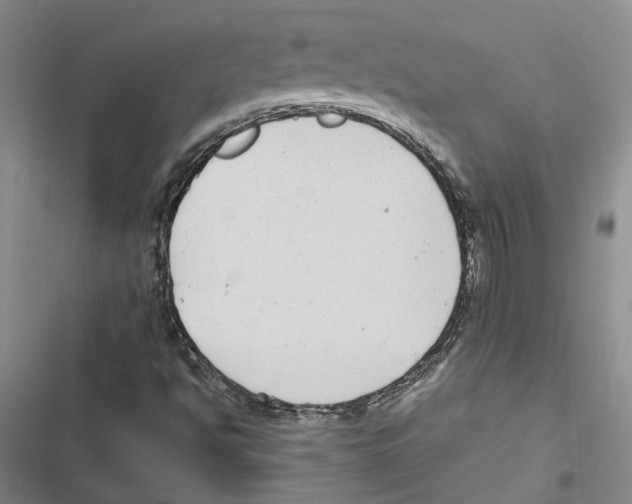 X0000116891494201001191754