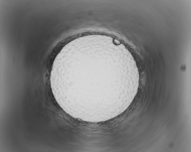 X0000116891495201001191754