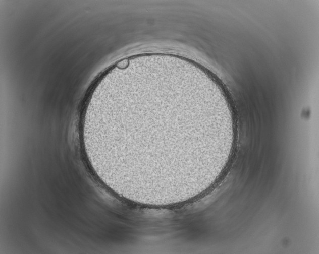 X0000116891498201001191754